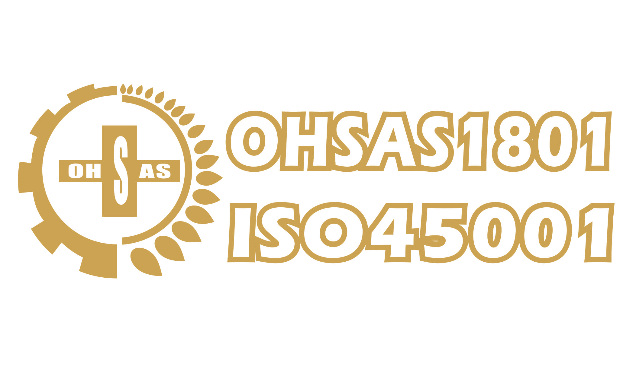 ISO45001认证概述1